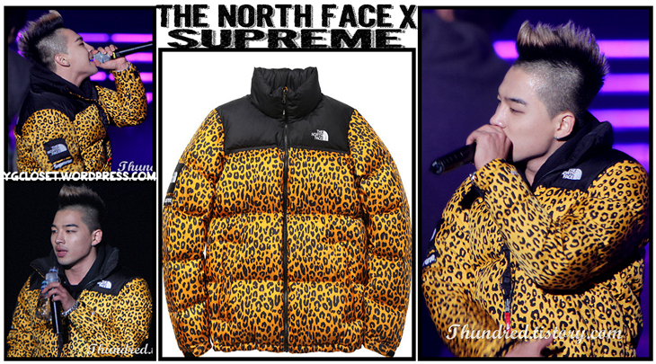 Tnf hot sale nuptse supreme